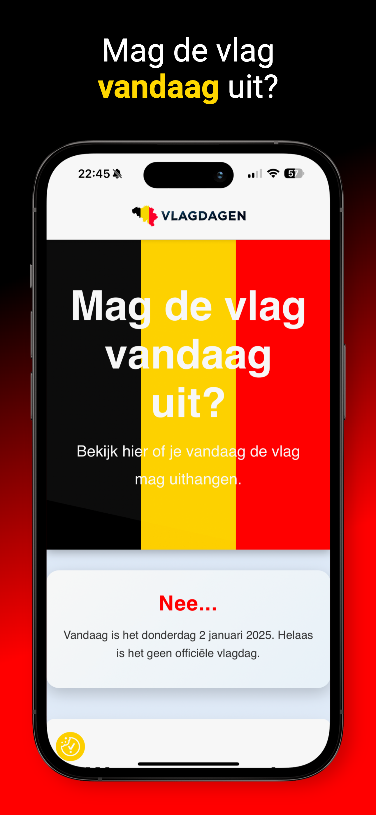 Afbeelding 1