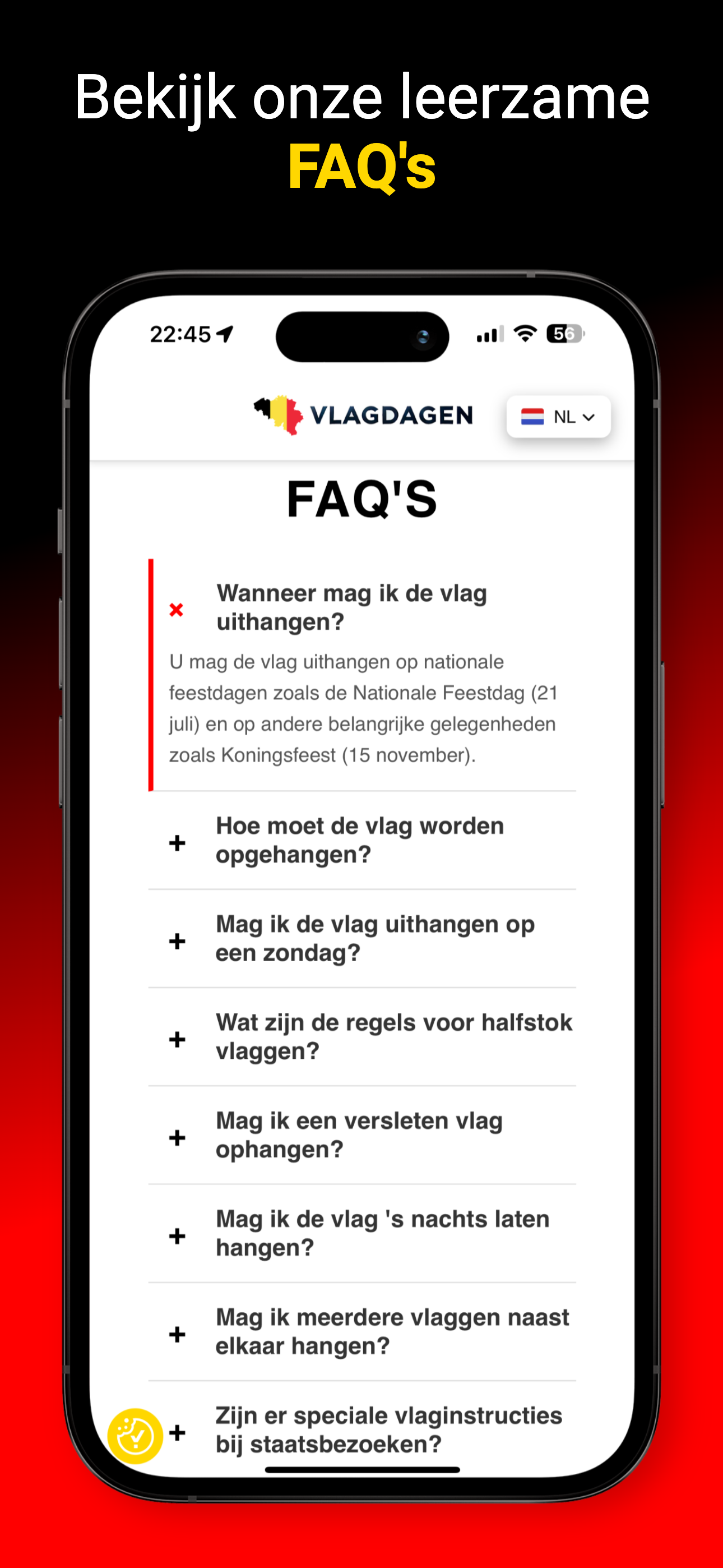 Afbeelding 4